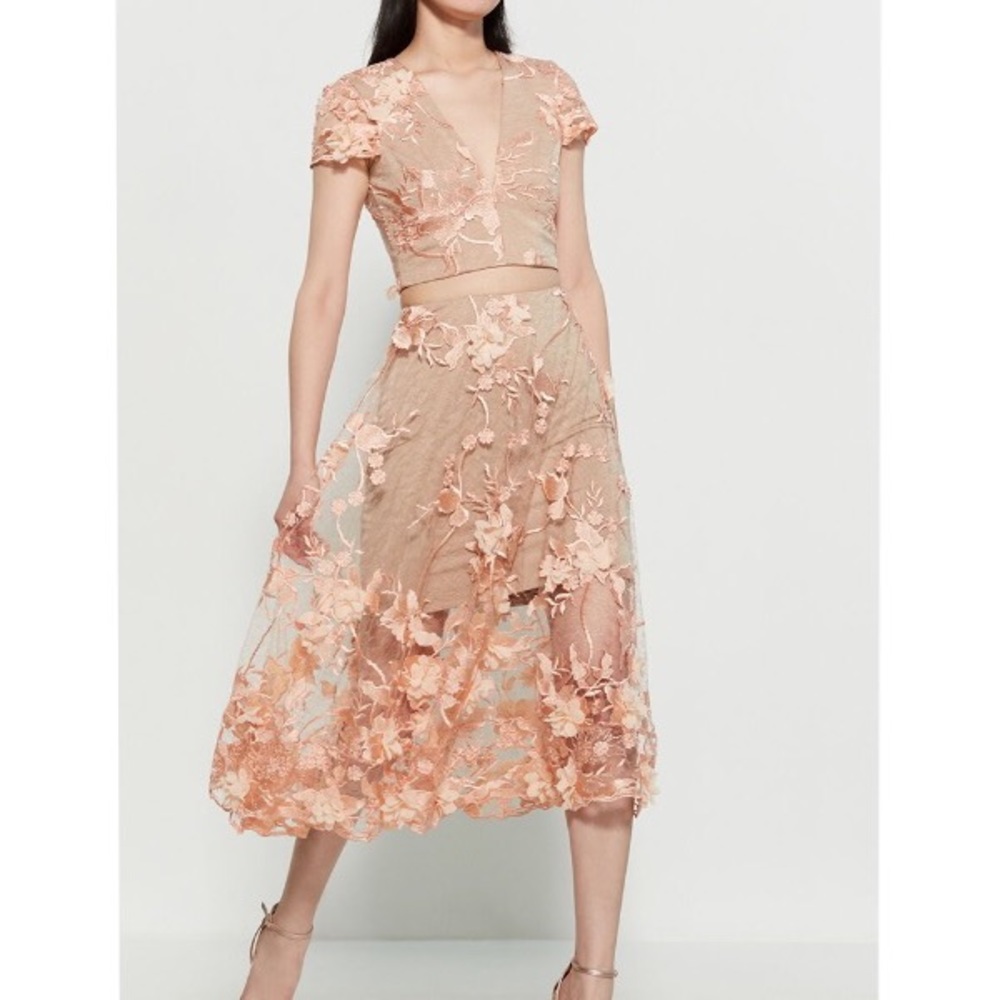 Dress The Population Nude Two Piece Set Top Skirt
